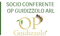 logo-op-guidizzolo